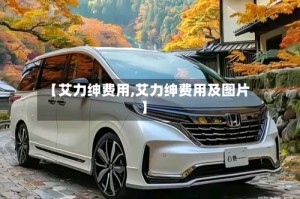 【艾力绅费用,艾力绅费用及图片】