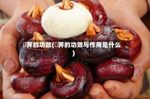 茡荠的功效(茡荠的功效与作用是什么)