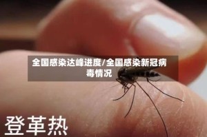 全国感染达峰进度/全国感染新冠病毒情况