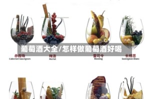 葡萄酒大全/怎样做葡萄酒好喝