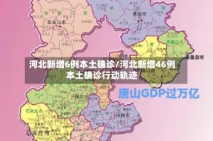河北新增6例本土确诊/河北新增46例本土确诊行动轨迹