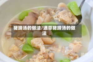 猪蹄汤的做法/通草猪蹄汤的做法