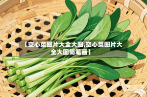 【空心菜图片大全大图,空心菜图片大全大图简笔画】