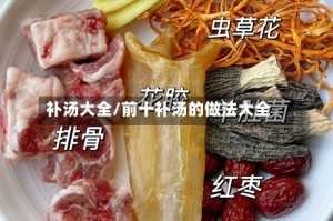 补汤大全/前十补汤的做法大全