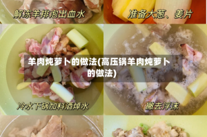 羊肉炖萝卜的做法(高压锅羊肉炖萝卜的做法)