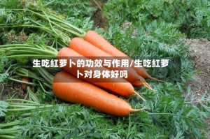 生吃红萝卜的功效与作用/生吃红萝卜对身体好吗