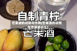 芒果酒的功效与作用(芒果酒的功效与作用是什么)
