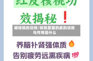 嫩核桃的功效/核桃里面的皮的功效与作用是什么