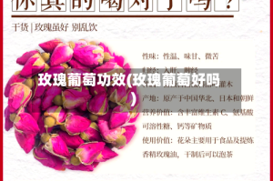 玫瑰葡萄功效(玫瑰葡萄好吗)