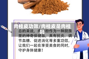 肉桂皮功效/肉桂皮是肉桂吗