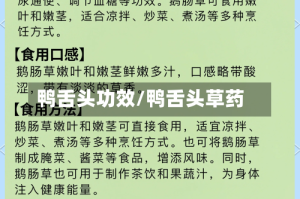 鸭舌头功效/鸭舌头草药