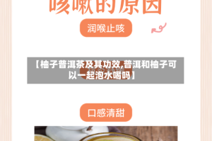 【柚子普洱茶及其功效,普洱和柚子可以一起泡水喝吗】