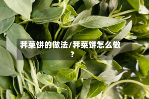 荠菜饼的做法/荠菜饼怎么做?