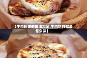 【牛肉焦饼的做法大全,牛肉饼的做法怎么做】