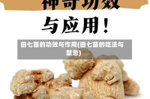 田七苗的功效与作用(田七苗的吃法与禁忌)
