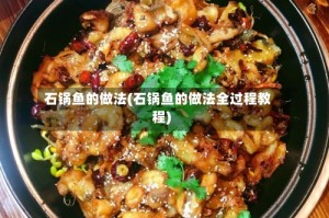 石锅鱼的做法(石锅鱼的做法全过程教程)