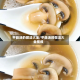 平菇汤的做法大全/平菇汤的做法大全视频