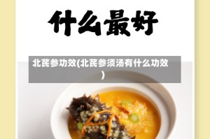 北芪参功效(北芪参须汤有什么功效)