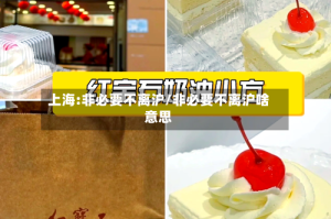 上海:非必要不离沪/非必要不离沪啥意思