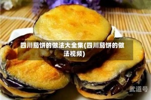 四川茄饼的做法大全集(四川茄饼的做法视频)
