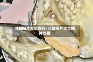 河蚌图片大全图片/河蚌图片大全图片欣赏