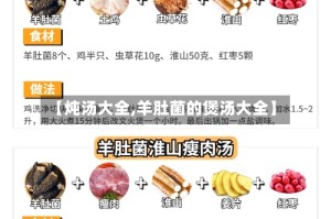 【炖汤大全,羊肚菌的煲汤大全】