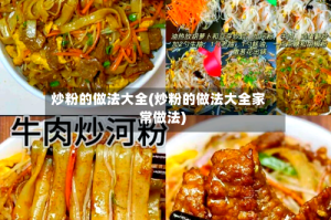 炒粉的做法大全(炒粉的做法大全家常做法)