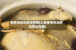 母鸡汤的功效与作用(人参老母鸡汤的功效与作用)