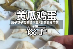 茄子饺子馅做法大全/怎么调猪肉饺子馅