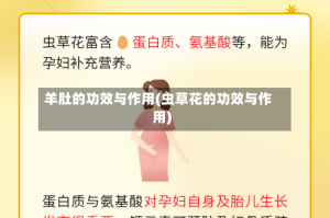 羊肚的功效与作用(虫草花的功效与作用)