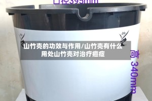 山竹壳的功效与作用/山竹壳有什么用处山竹壳对治疗癌症