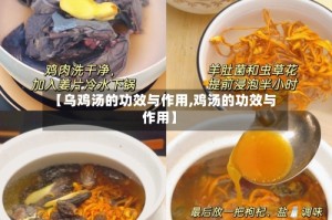 【乌鸡汤的功效与作用,鸡汤的功效与作用】