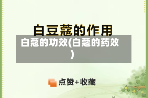白蔻的功效(白蔻的药效)