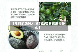 【牛籽的功效,牛籽的功效与作用是什么】