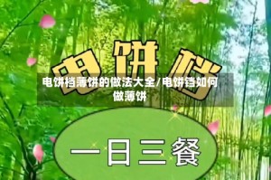 电饼档薄饼的做法大全/电饼铛如何做薄饼