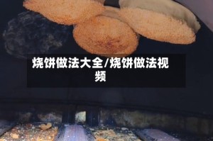 烧饼做法大全/烧饼做法视频