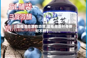 【蓝莓泡白酒的功效,蓝莓泡酒对身体好不好】