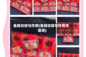 鱼翅功效与作用(鱼翅功效与作用及禁忌)