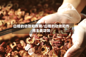 山楂的功效和作用/山楂的功效和作用主要功效