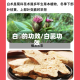 白菓的功效/白茈功效