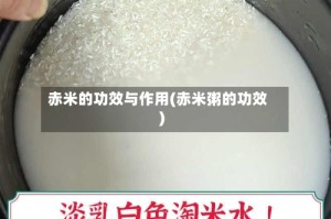 赤米的功效与作用(赤米粥的功效)