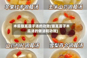 木瓜银耳莲子汤的功效(银耳莲子木瓜汤的做法和功效)