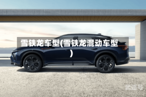 雪铁龙车型(雪铁龙混动车型)