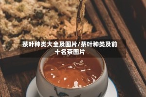 茶叶种类大全及图片/茶叶种类及前十名茶图片