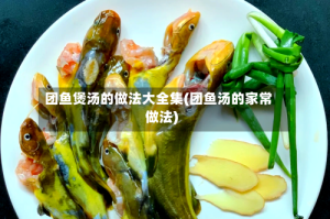 团鱼煲汤的做法大全集(团鱼汤的家常做法)