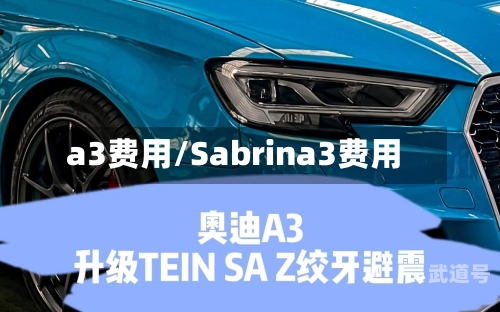 a3费用/Sabrina3费用-第1张图片