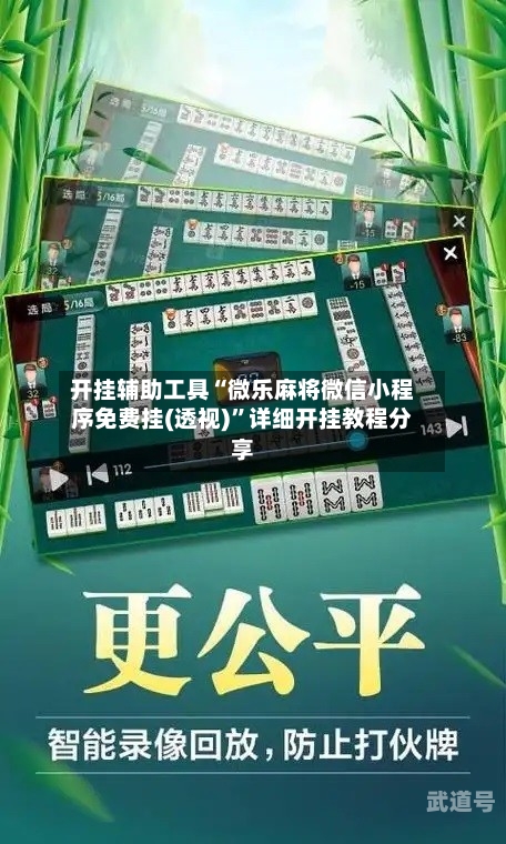开挂辅助工具“微乐麻将微信小程序免费挂(透视)	”详细开挂教程分享-第2张图片