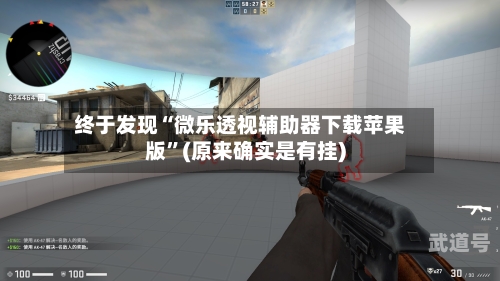 终于发现“微乐透视辅助器下载苹果版	”(原来确实是有挂)-第2张图片