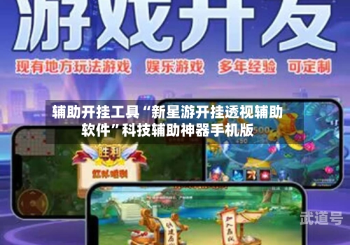 辅助开挂工具“新星游开挂透视辅助软件	”科技辅助神器手机版-第2张图片