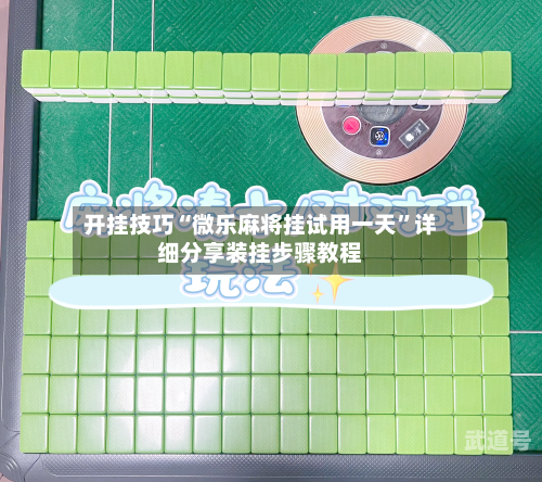 开挂技巧“微乐麻将挂试用一天”详细分享装挂步骤教程-第3张图片